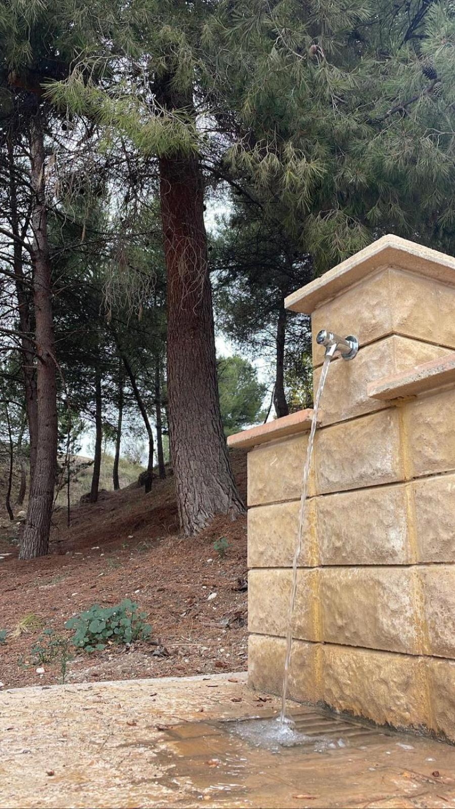 Casa Rural Puente Del Segura Elche de la Sierra Exterior foto